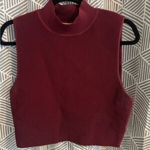 Aritzia Burgundy Ribbed Crop Top